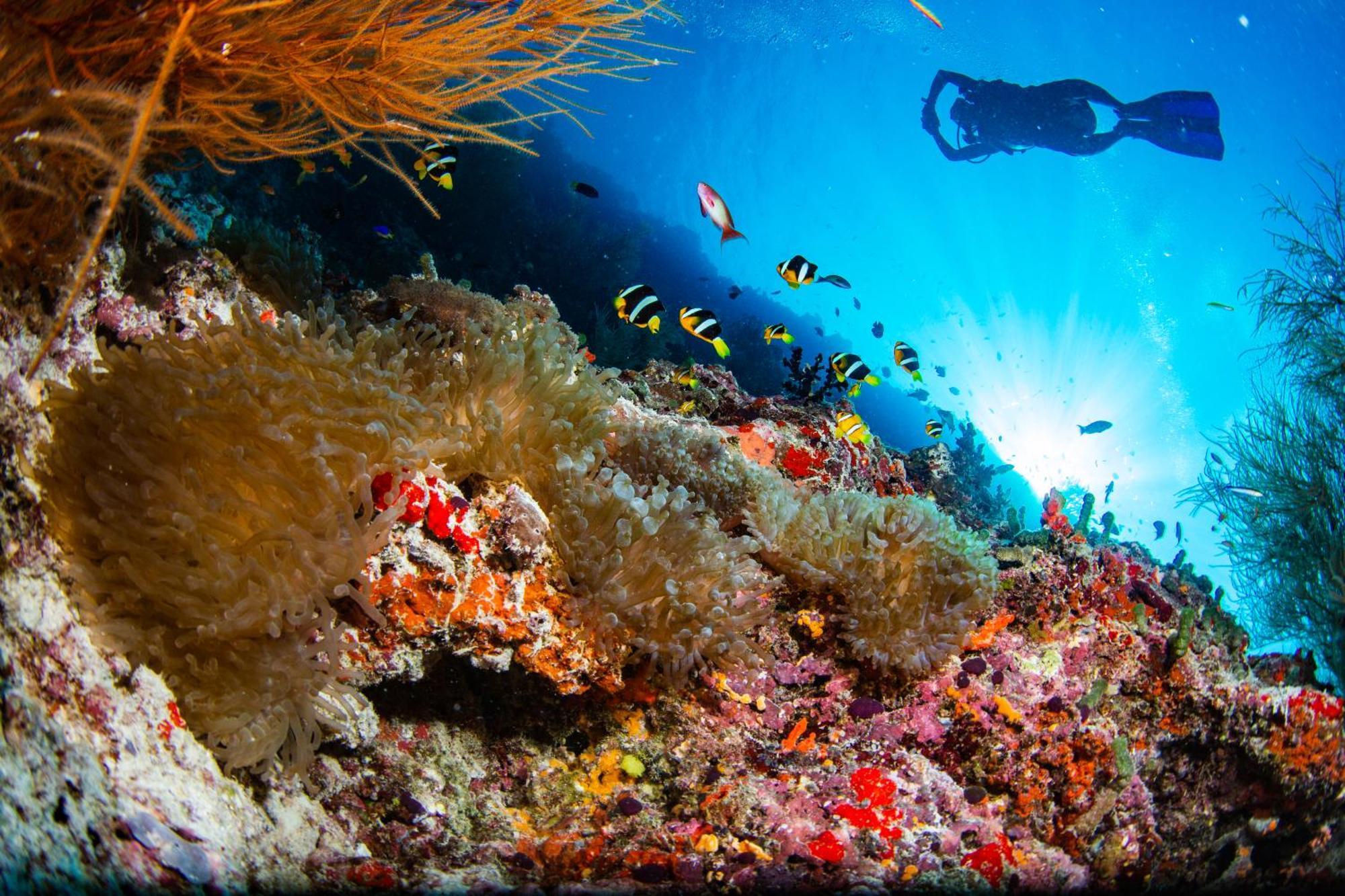 Noku Maldives, Vignette Collection By Ihg, 50 Percent Off Shared Roundtrip Seaplane Transport When You Stay 4 Nights Or More Stay Period Until 23 Dec 2025 (Adults Only) Kudafunafaru Exteriér fotografie
